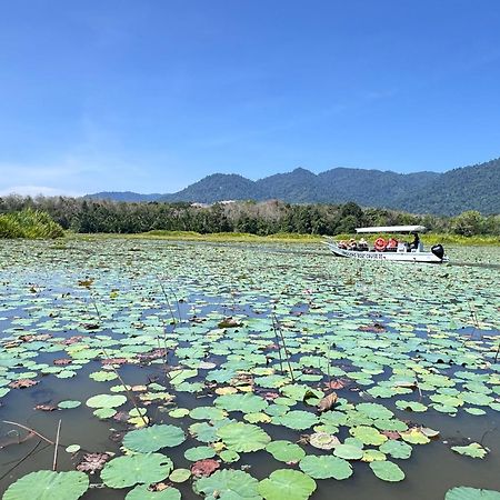Branda Kampung Sumpitan Lenggong Tiada Sungai Hotell Kampong Ulu Jepai Eksteriør bilde