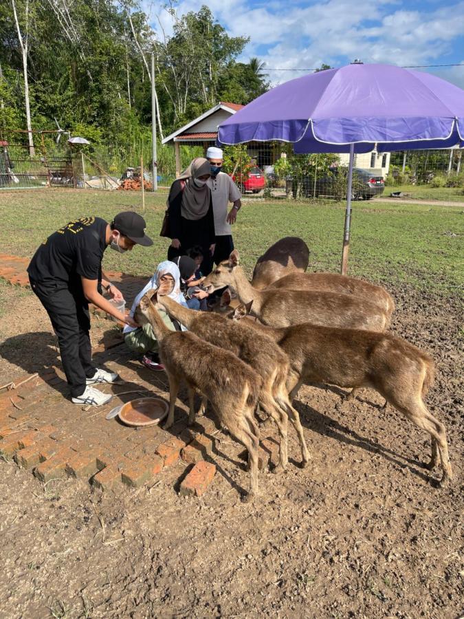 Branda Kampung Sumpitan Lenggong Tiada Sungai Hotell Kampong Ulu Jepai Eksteriør bilde