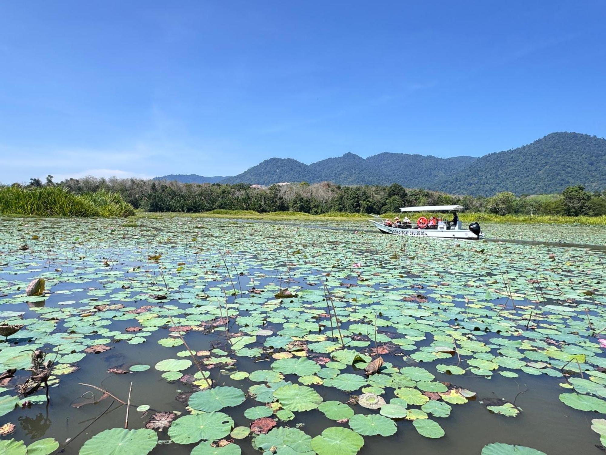 Branda Kampung Sumpitan Lenggong Tiada Sungai Hotell Kampong Ulu Jepai Eksteriør bilde